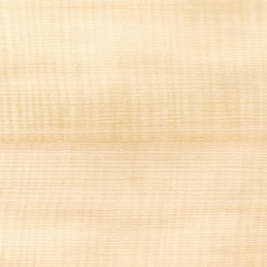 Figured Sycamore